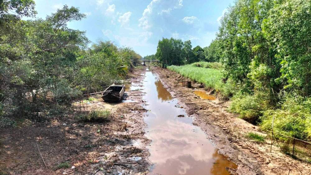 Một dự &aacute;n hơn 5.300 tỷ đồng dẫn nước từ s&ocirc;ng Hậu đang được C&agrave; Mau xem x&eacute;t- Ảnh 1.