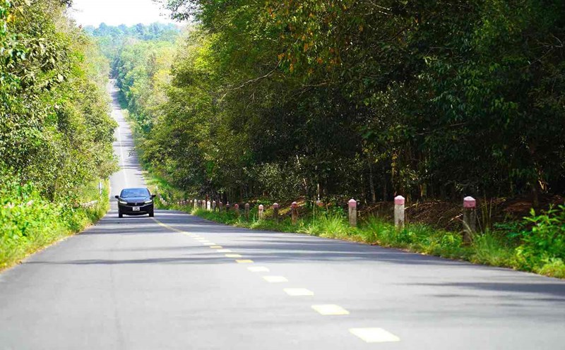 Sắp l&agrave;m tuyến đường 44km kết nối c&aacute;c tỉnh T&acirc;y Nguy&ecirc;n đến s&acirc;n bay v&agrave; cảng C&aacute;i M&eacute;p - Thị Vải- Ảnh 2.
