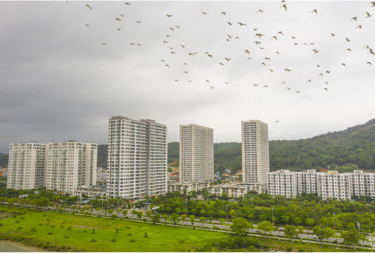 Quảng Ninh &ldquo;điểm danh&rdquo; 68 dự &aacute;n vướng mắc k&eacute;o d&agrave;i, y&ecirc;u cầu xử l&yacute; dứt điểm trong năm 2026- Ảnh 2.