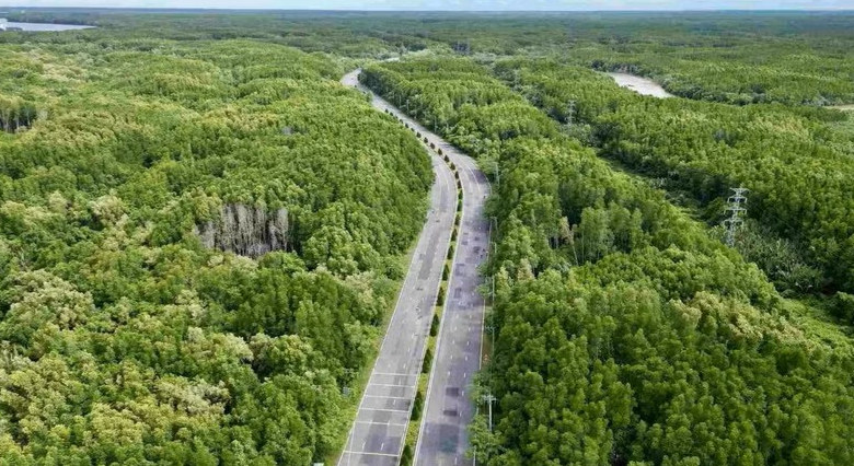 TP.HCM chấp thuận lập đề xuất n&acirc;ng cấp đường Rừng S&aacute;c l&ecirc;n 10 l&agrave;n xe, vốn hơn 19.000 tỷ đồng- Ảnh 1.