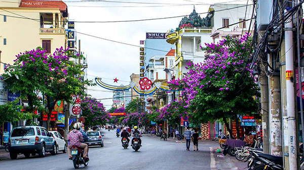 Hải Ph&ograve;ng chấp thuận 3 doanh nghiệp thực hiện th&iacute; điểm nh&agrave; ở thương mại- Ảnh 2.