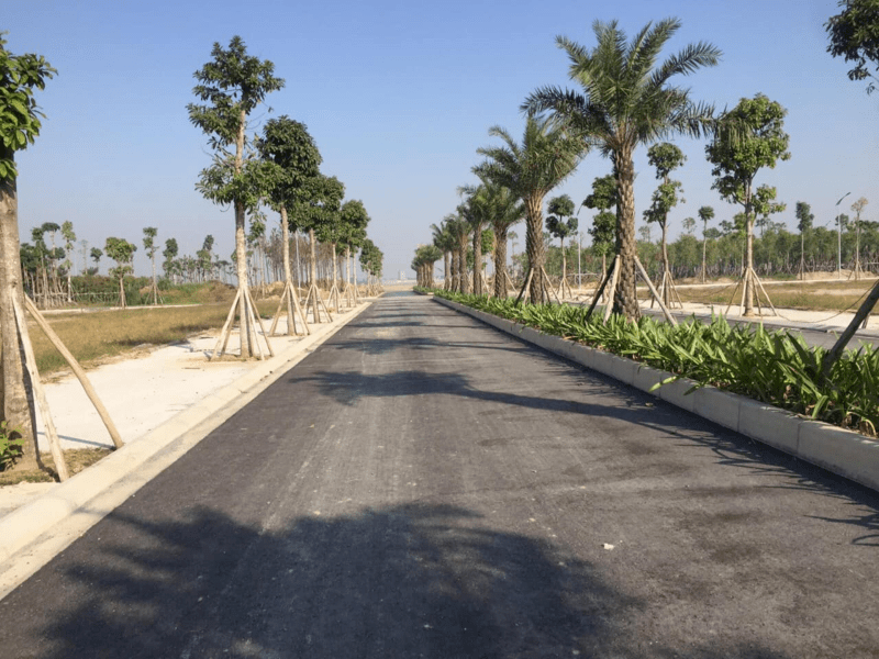 H&ograve;a Ph&aacute;t Forestar: Dự &aacute;n khu đ&ocirc; thị tại Hưng Y&ecirc;n- Ảnh 8.