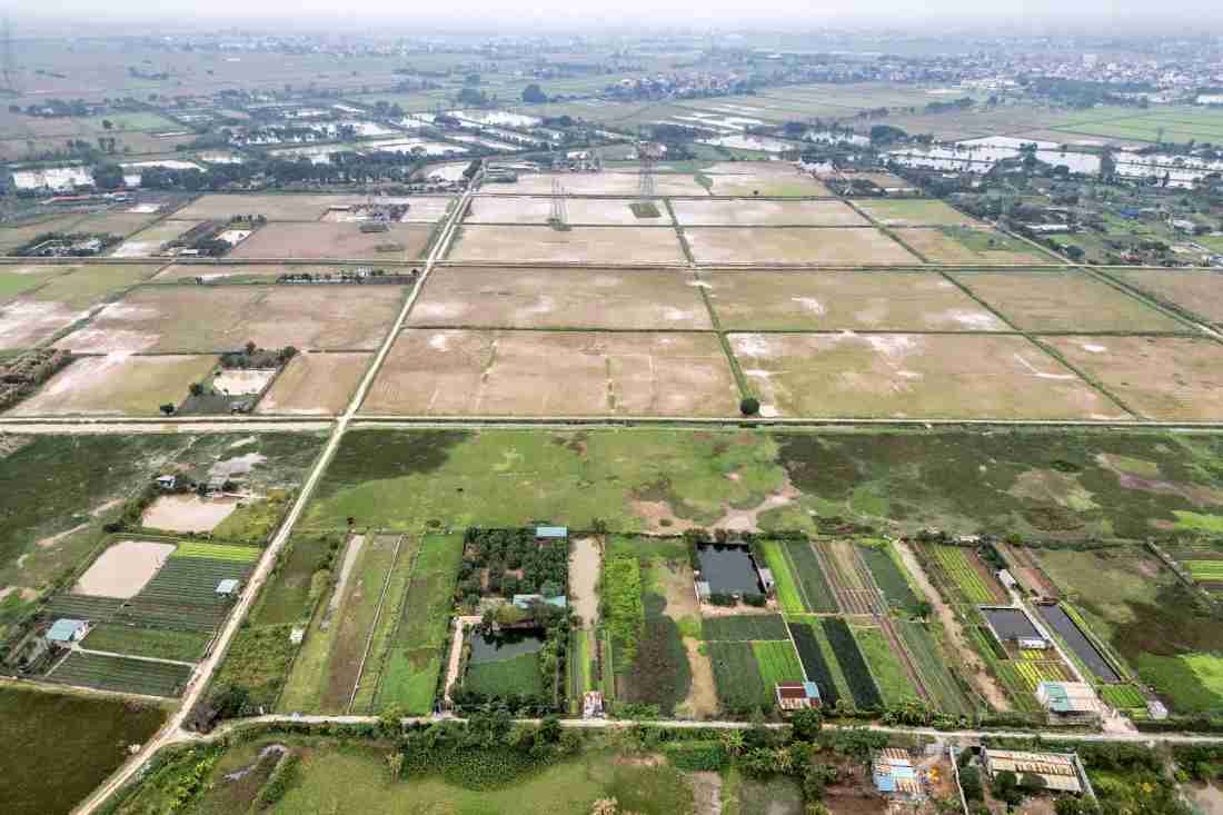 Thu hồi gần 28 ha đất l&uacute;a tại Tam Hưng để triển khai ph&acirc;n khu đầu ti&ecirc;n của đại đ&ocirc; thị Olympic- Ảnh 1.