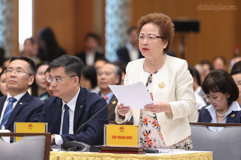 Chủ tịch BRG đề xuất th&iacute; điểm cơ chế đặc th&ugrave; với tổ hợp thương mại, du lịch v&agrave; vui chơi giải tr&iacute; quy m&ocirc; lớn- Ảnh 1.