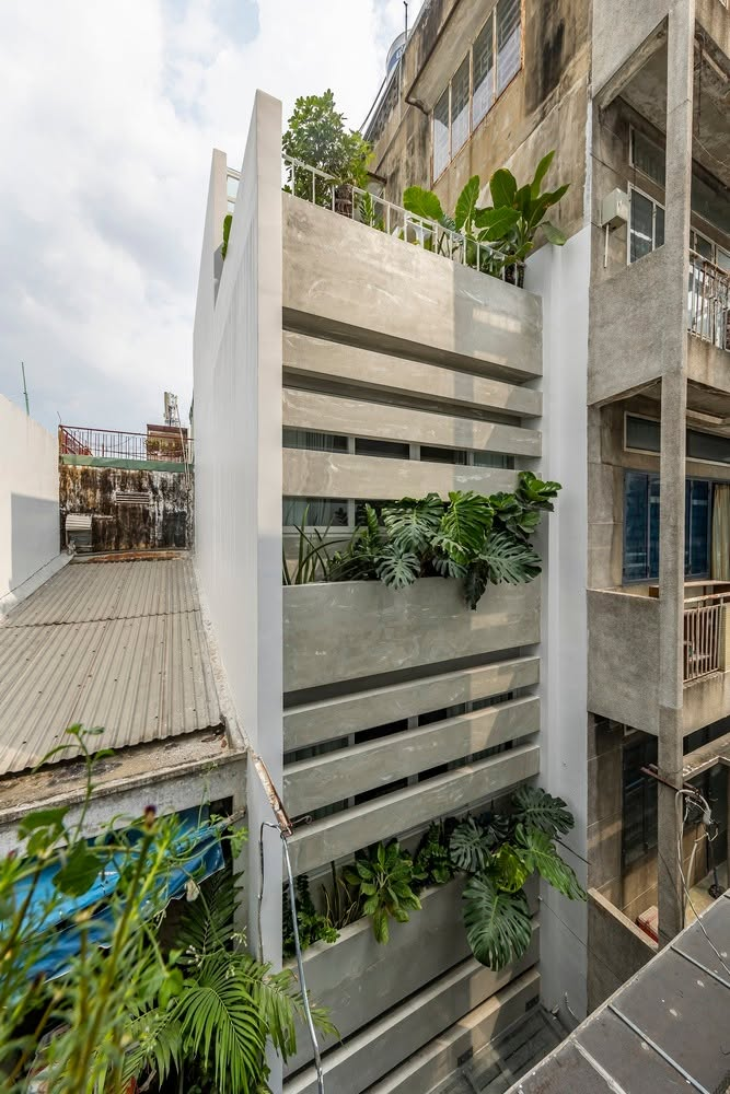 Nhà 4 tầng trong hẻm TPHCM: Lớp rèm bê tông xanh chắn ồn hiệu quả- Ảnh 1.