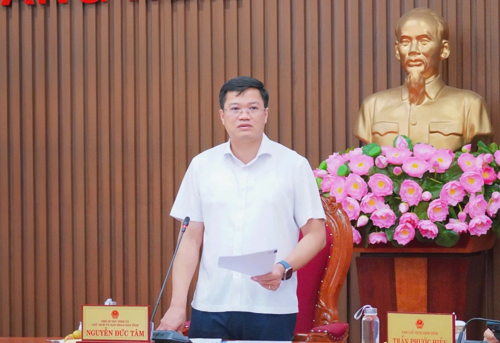 Quảng Ngãi rà soát 181 dự án: Dòng vốn đầu tư công sẽ được ưu tiên vào đâu?- Ảnh 1.