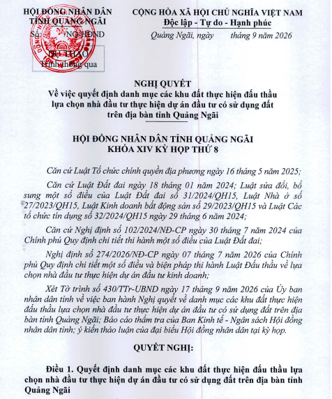 Quảng Ngãi đưa 5 khu đất ra đấu thầu, lộ diện 3 khu đô thị mới- Ảnh 1.