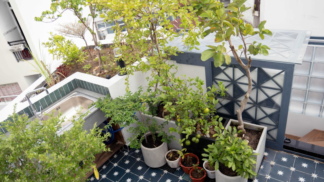 Nh&agrave; phố chỉ 20 m&sup2; TP.HCM: Cấu tr&uacute;c xoay khối vu&ocirc;ng v&agrave; dải đệm thang bọc quanh- Ảnh 14.