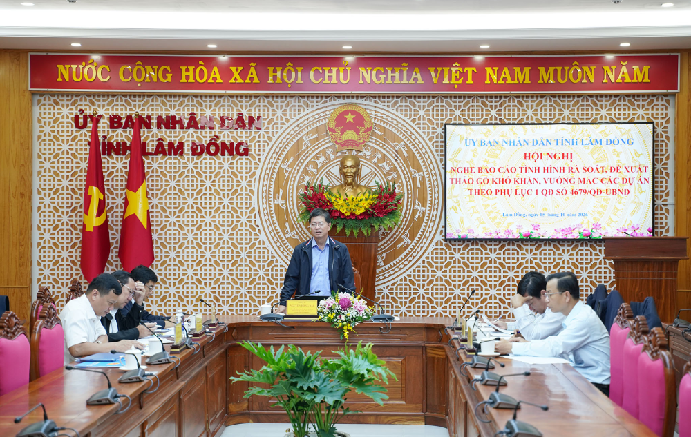Lâm Đồng rà soát 57 dự án, phân thành 6 nhóm xử lý từng vướng mắc- Ảnh 3.