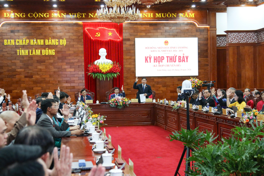 Cao tốc hơn 73km ở Lâm Đồng được nâng nền đường lên 24,75m, có gì mới?- Ảnh 3.