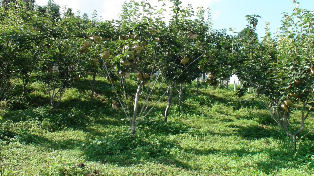 Chuyển đổi đất trồng lúa còn lại thành đất ở để xây nhà?- Ảnh 1.