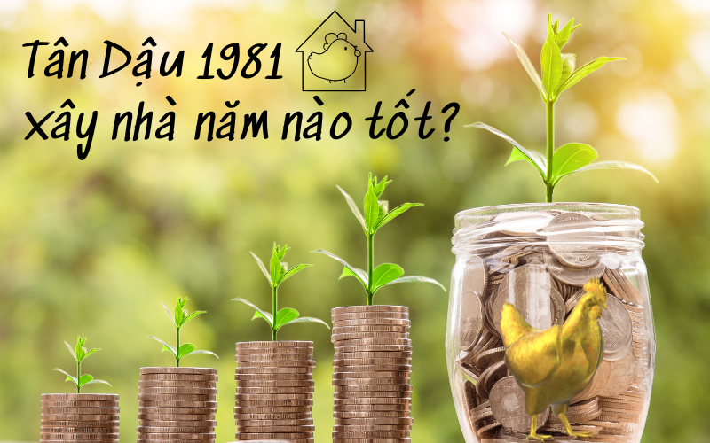 Tuổi Tân Dậu xây nhà năm 2023 Quý Mão có phạm hạn không?