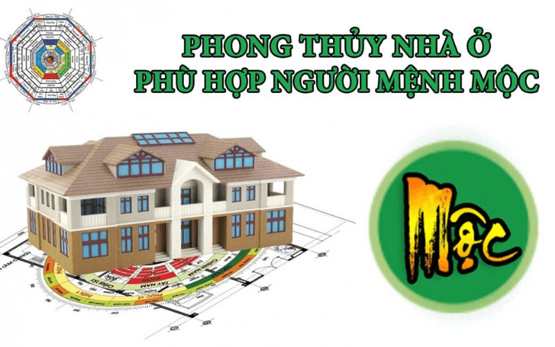 Khi mua nhà, xây nhà gia chủ mệnh mộc hợp hướng nào?