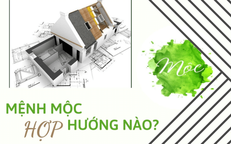 Khi mua nhà, xây nhà gia chủ mệnh mộc hợp hướng nào?