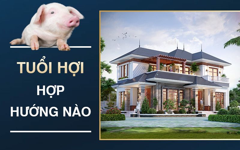 Hướng nhà dành cho gia chủ tuổi Kỷ Hợi 1959