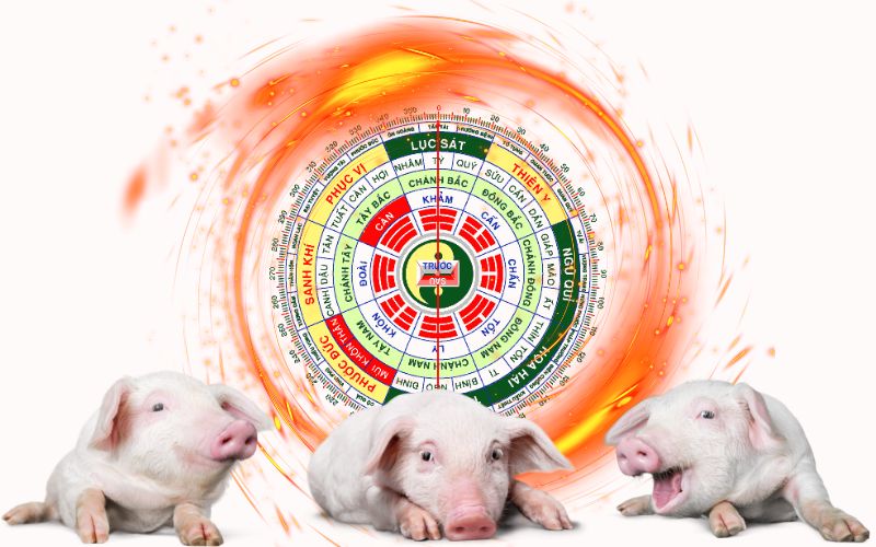Phong thủy nhà ở dành cho gia chủ tuổi Hợi