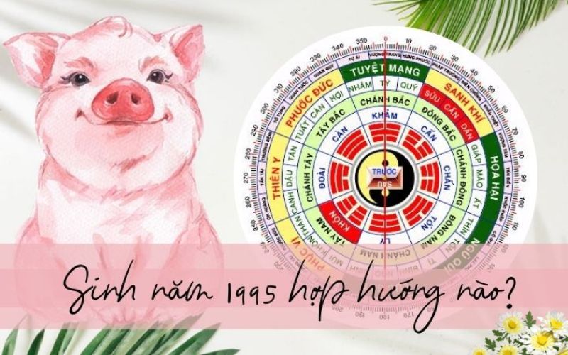 Phong thủy hướng nhà dành cho gia chủ tuổi Ất Hợi 1995