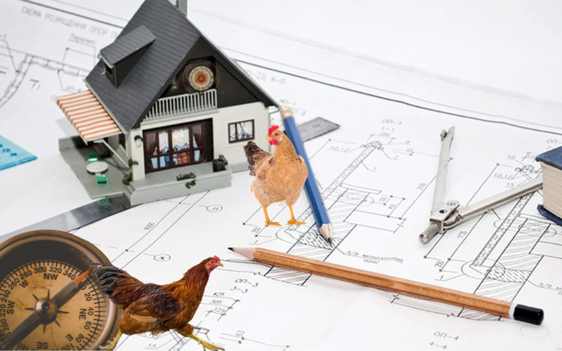Ngoài ra, nó còn khiến cho sức khỏe gia chủ bị ảnh hưởng lớn.