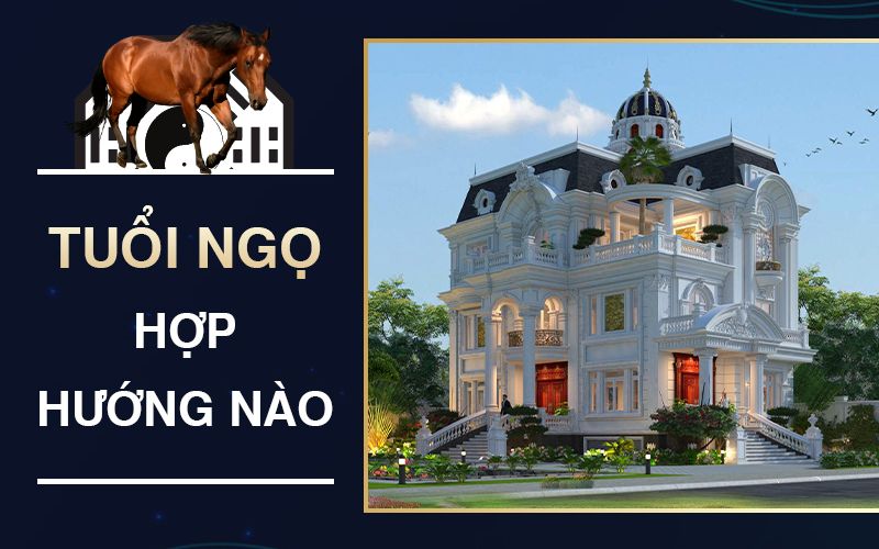 Hướng cửa chính tốt theo bát trạch Mậu Ngọ