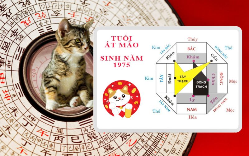 Gia chủ tuổi Ất Mão sinh năm 1975 hợp hướng nào?