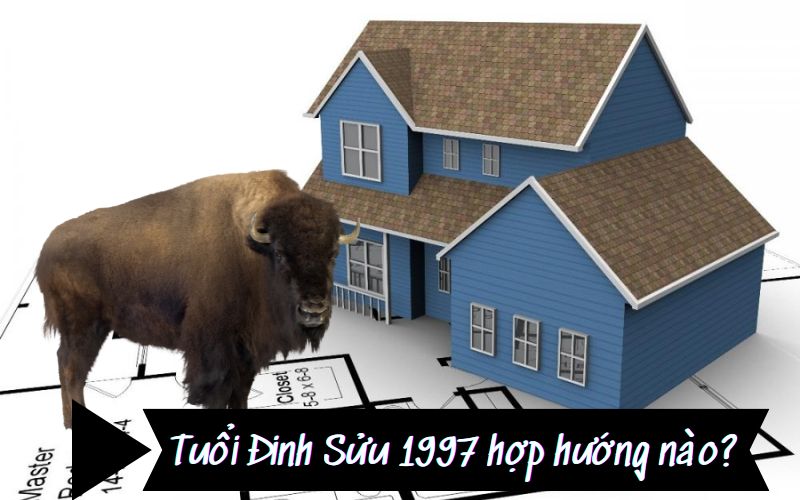 Sơ lược về tử vi gia chủ tuổi Đinh Sửu 1997