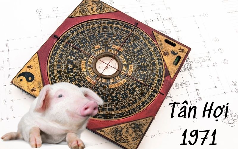 Sơ lược về tử vi gia chủ Tân Hợi 1971