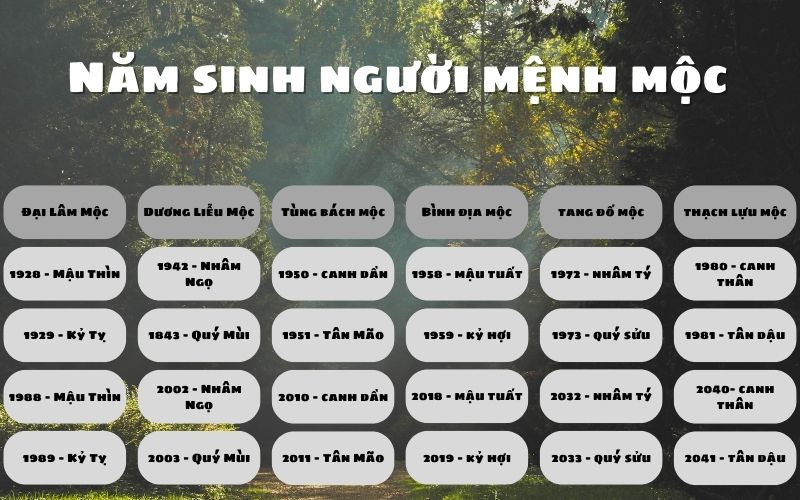 Những gia chủ thuộc ngũ hành mộc hợp tương sinh hành thủy