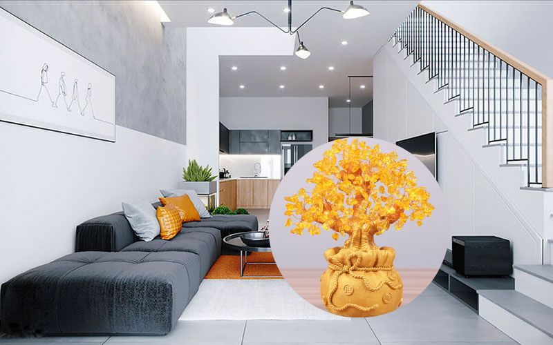 Nên đặt cây đá phong thủy ở phòng khách
