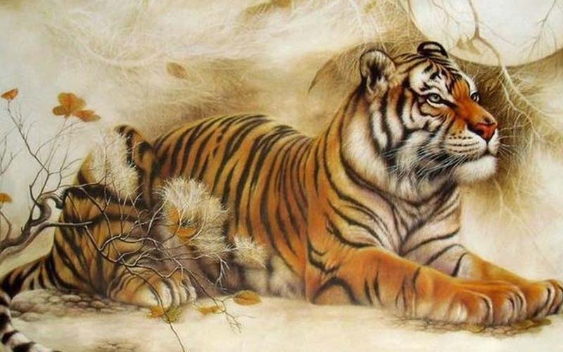 Tính cách người tuổi Dần
