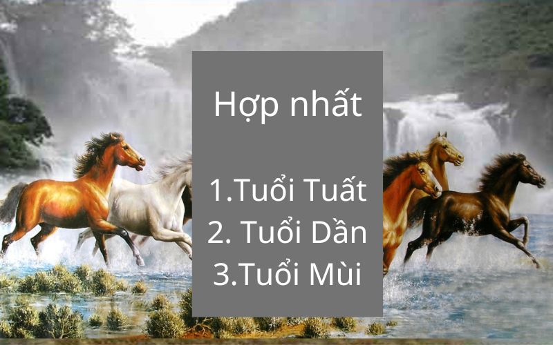 Tuổi hợp nhất với tranh mã đáo thành công