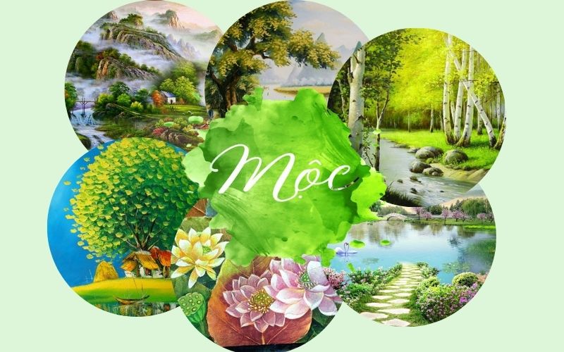 Sơ lược về gia chủ mệnh mộc
