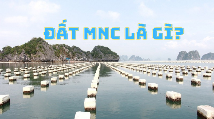 MNC là đất gì? Phân loại và quy định sử dụng đất MNC