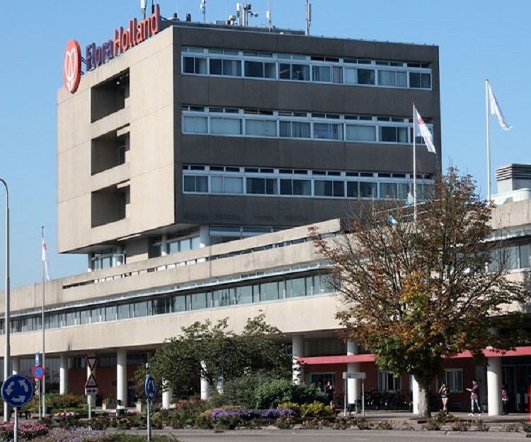 Tòa nhà đấu giá hoa Aalsmeer