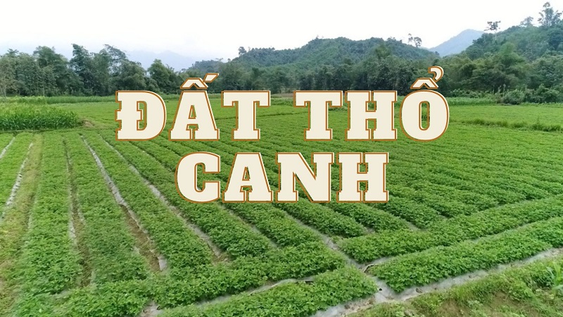 Đất thổ canh là gì?