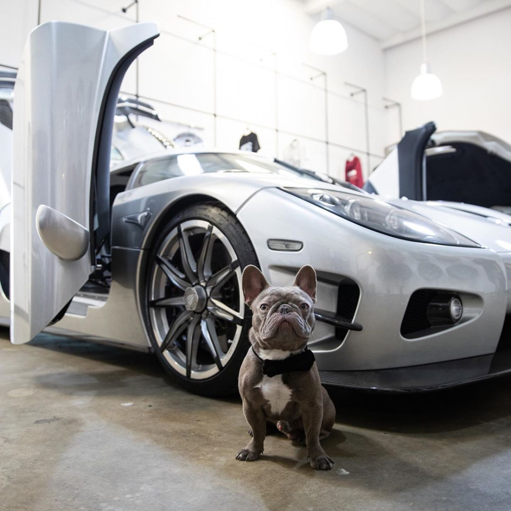 Đại gia Mỹ n&agrave;y rất hay khoe Koenigsegg CCXR Trevita l&ecirc;n trang c&aacute; nh&acirc;n