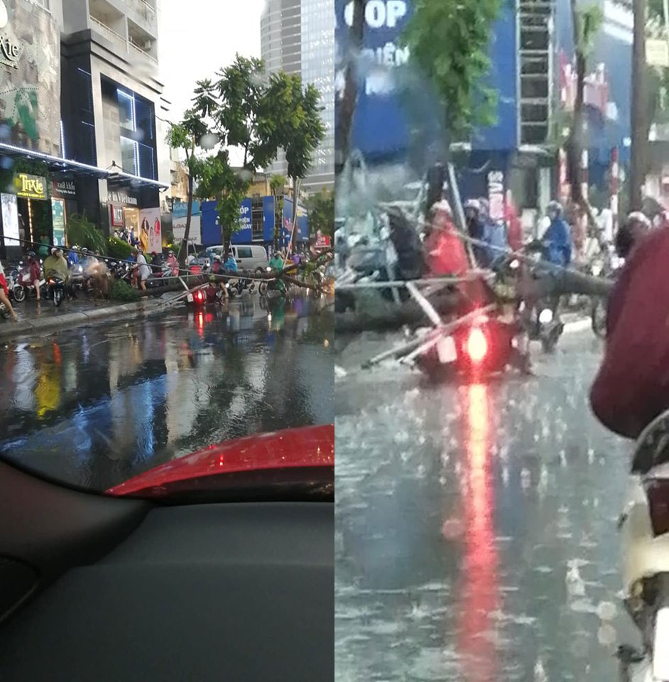 C&acirc;y đổ tr&uacute;ng chiếc xe m&aacute;y tr&ecirc;n đường Th&aacute;i H&agrave;