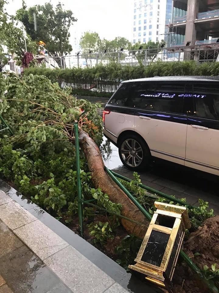 Bức ảnh chụp lại cho thấy một c&acirc;y xanh ng&atilde; c&aacute;ch đu&ocirc;i xe chiếc SUV hạng sang Range Rover Autobiography chỉ v&agrave;i ph&acirc;n