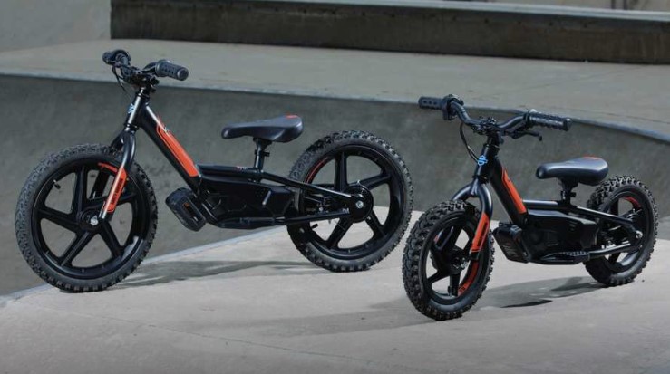 Harley-Davidson IRONe16 và IRONe12