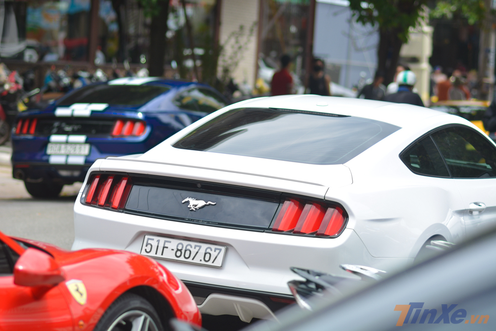 Và cuối cùng là cặp đôi Ford Mustang thế hệ thứ 6 mang màu sơn trắng và xanh