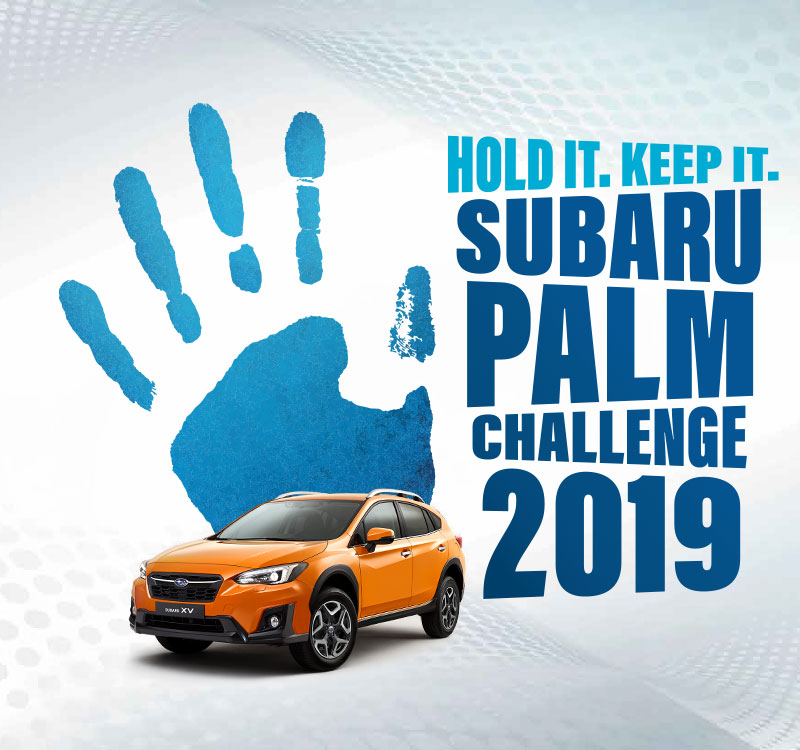 Subaru Palm Challenge 2019 lần đầu ti&ecirc;n đến với H&agrave; Nội