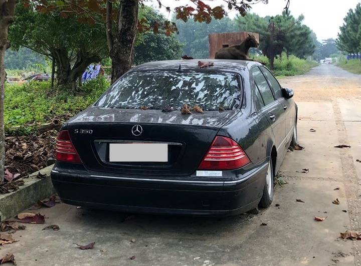 Các phuộc xe có dấu hiệu bị hỏng Các phuộc xe có dấu hiệu bị hỏng