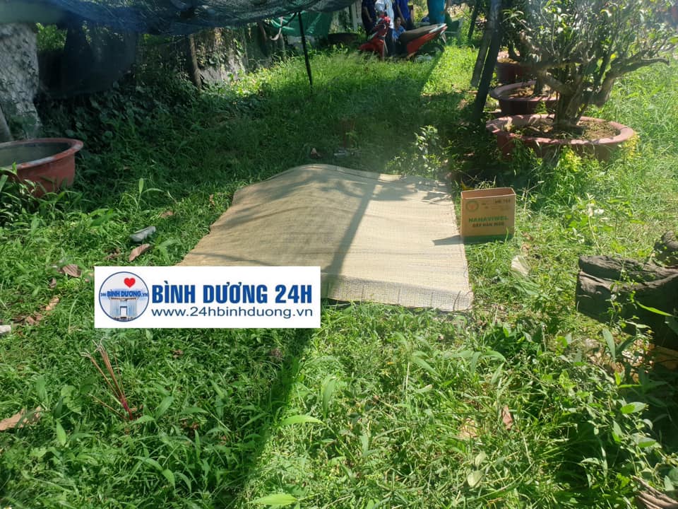 Nạn nhân văng vào bụi cỏ ven đường tử vong tại chỗ