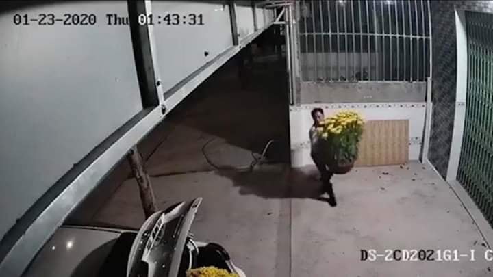 Tiếp tục chậu thứ hai