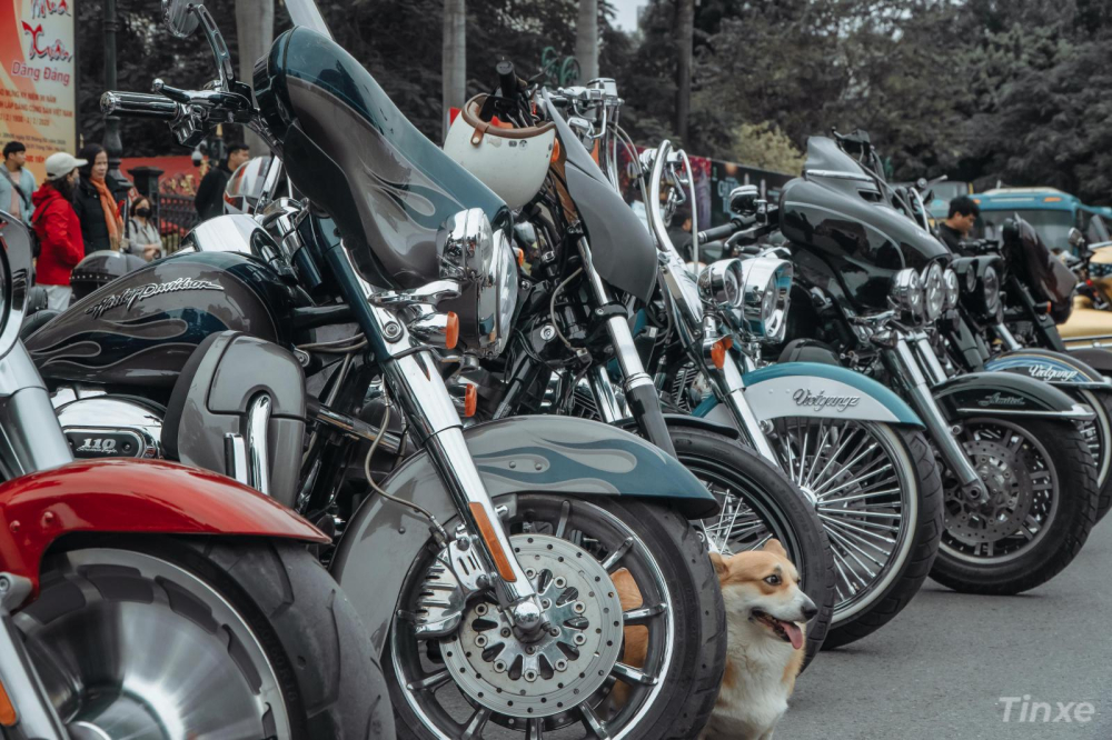 D&agrave;n xe Harley của Vietgangz nổi bật giữa đ&aacute;m đ&ocirc;ng với phong c&aacute;ch độc đ&aacute;o