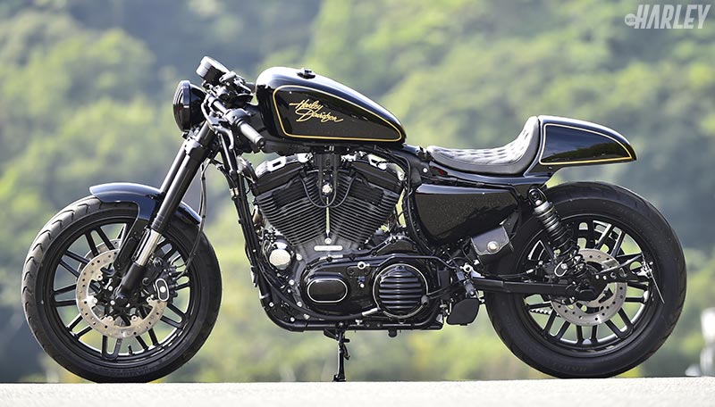 Bản độ Cafe Racer từ Harley-Davidson XL1200CX Roadster Bản độ Cafe Racer từ Harley-Davidson XL1200CX Roadster