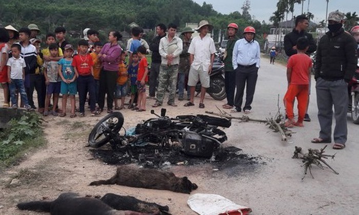 Hiện trường sự việc với 2 người bất tỉnh cùng với 3 con chó và 1 chiếc xe máy cháy rụi tại Nghệ An Hiện trường sự việc với 2 người bất tỉnh cùng với 3 con chó và 1 chiếc xe máy cháy rụi tại Nghệ An