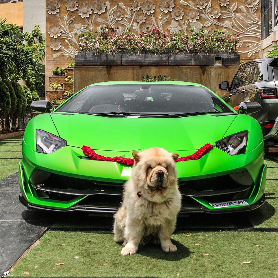 Mô-men xoắn cực đại của Aventador SVJ cũng được nâng cấp thêm 30 Nm lên mức 720 Nm so với các dòng siêu xe Aventador còn lại. Đáng tiếc thay là thời gian tăng tốc từ vị trí xuất phát lên 100 km/h của Lamborghini Aventador SVJ không thể thấp hơn con số 2,8 giây của đàn anh Lamborghini Aventador SV tạo ra. Vận tốc tối đa của siêu xe hàng hiếm mới ra mắt cũng dừng lại ở con số 350 km/h.