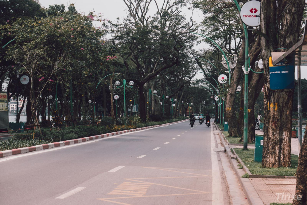 Đường Thanh Niên