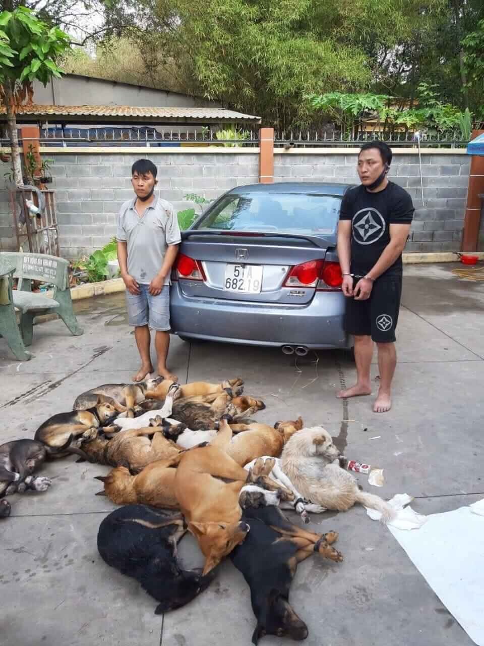 Hai đối tượng bị bắt giữ v&igrave; c&oacute; h&agrave;nh vi trộm ch&oacute; tại B&igrave;nh Dương.