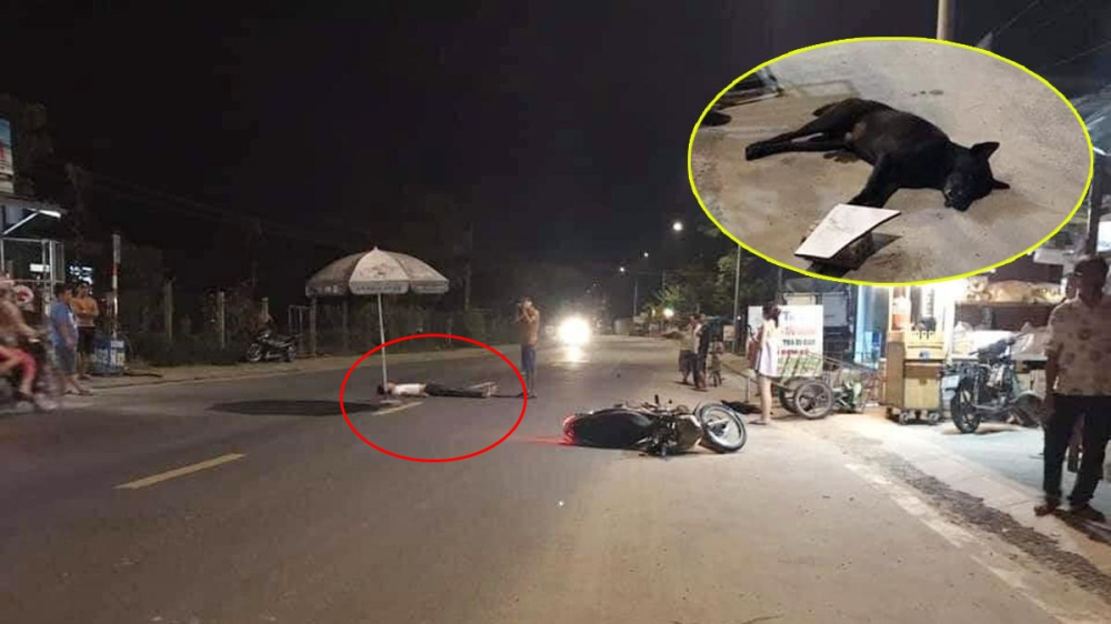 Hiện trường vụ tai nạn xe máy tông vào chó thả rông chạy bên đường khiến một người bị thương nặng